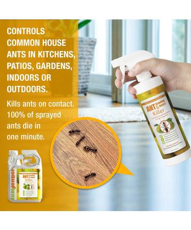 EcoRaider EcoVenger Ant & Crawling Insect Killer 16oz - Fast-Acting Citrus Scent Formula | Effective Against Spiders, Centipedes & More | Natural, Non-Toxic, Child & Pet Safe - Buy Online on GoSupps.com