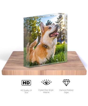 TULLUN Personalised Custom Made Pet Dog Cat Animal Memorial Acrylic Crystal Clear Block Plaque with Photo Text Name Date - Full Print 3D Effect - Buy Online on GoSupps.com