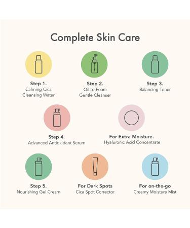 Rael Oil to Foam Facial Cleanser - Gentle Daily Face Wash with Vitamin B5 for All Skin Types - Clean Ingredients - Cruelty Free - 5.07oz - Buy Online on GoSupps.com