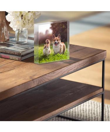 TULLUN Personalised Custom Made Pet Dog Cat Animal Memorial Acrylic Crystal Clear Block Plaque with Photo Text Name Date - Full Print 3D Effect - Buy Online on GoSupps.com