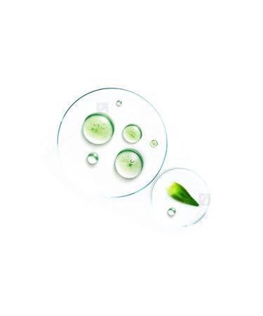 Buy Signal Organic Toothpaste with Natural Plant Extracts - Protects Teeth & Gums (75ml) - Buy Online on GoSupps.com