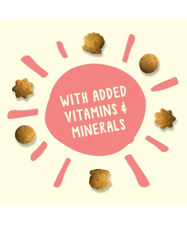 Friskies Party Mix Cat Treats Naturals Seaside Crunch with Real Fish - 454 g Cannister (1 Pack) 454 g (Pack of 1) - Buy Online on GoSupps.com