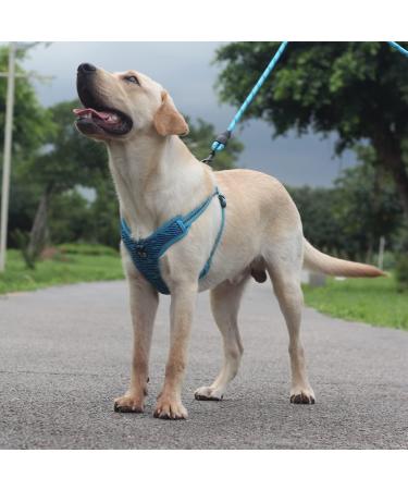 Suredoo Dog Harness for Small & Medium Dogs - No-Pull Reflective Adjustable Harness for Puppies & Pets (Soft Gray) - Buy Online on GoSupps.com