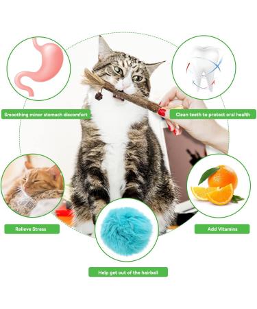 AUCENIX Silvervine Cat Chews - Natural Matatabi Dental Toys for Cats & Kittens (2 Pcs) - Promote Healthy Teeth & Playfulness - Buy Online on GoSupps.com