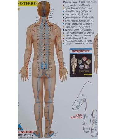 VAIBHAVI 24/7 Acupressure Chart - Complete Acupressure & Acupuncture Poster for Navel Points | International Shipping - Buy Online on GoSupps.com