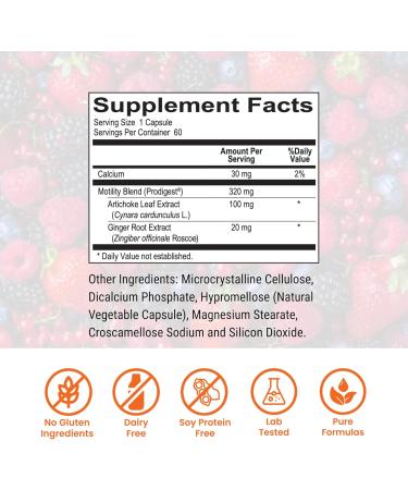 SIBO Bloating Bundle by Dr. Rajsree Essential Magnesium 180 Capsules Motility Activator 60 Capsules and Digestive Enzyme Pro 90 Capsules - Buy Online on GoSupps.com