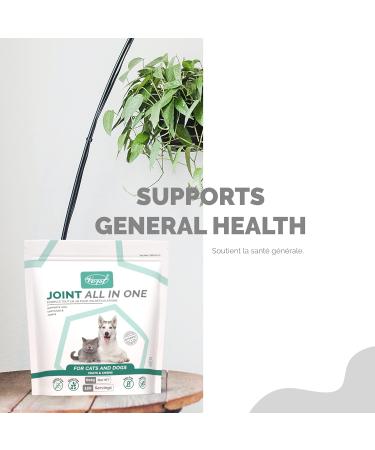 VORST Joint Formula Powder for Dogs & Cats 600G | Contains Glucosamine Methylsulfonylmethane (MSM) Hyaluronic Acid Omega 3 (Fish Oil) & Green Lipped Mussel | Hip & Joint Supplement for Pets Puppies - Buy Online on GoSupps.com