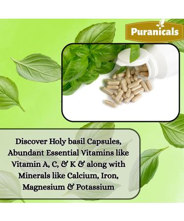 Holy Basil Premium 320 Capsules Non GMO and Gluten Free | Herbal Supplement | 600 mg Per Serving | Made with 100% Pure Herb Holy Basil Leaf Holy Basil Capsules 320 Count (Pack of 1) - Buy Online on GoSupps.com