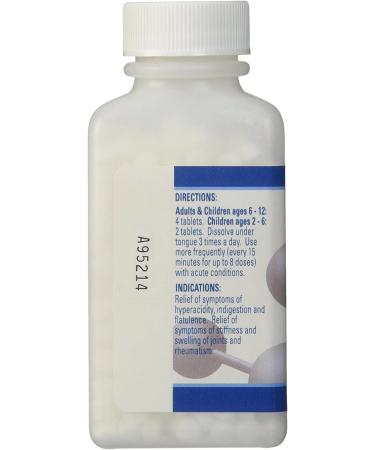Hyland's Natrum Phosphoricum 6X Tablets - Natural Relief for Joint Pain, Gas & Indigestion | 500 Count - Buy Online on GoSupps.com