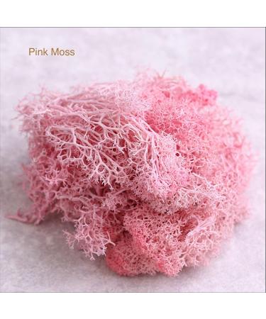 9 OZ Preserved Moss - Natural Live & Fake Moss for Potted Plants, Terrariums, Gardening, Art, Vase Fillers, Craft Floral Wall, Wedding Decor - Green, Purple, Pink - Buy Online on GoSupps.com
