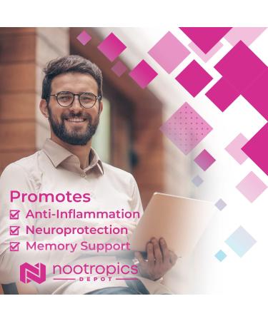Nootropics Depot Sabroxy Tablets | 500mg | 30 Count | 10% Oroxylin-A | Oroxylum Indicum | Enhance Focus & Motivation | Boost Cognitive Function - Buy Online on GoSupps.com