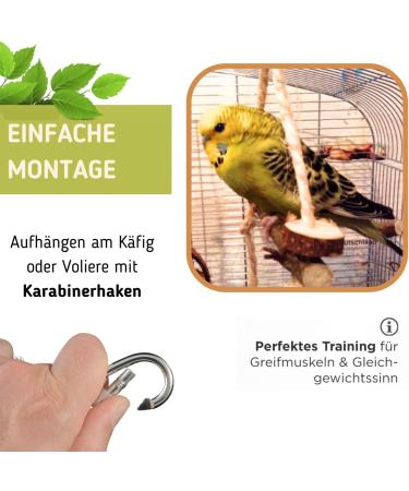 Handmade Natural Wood Budgie Swing for Two Birds | Bird Gallery | Premium Bird Toys - Buy Online on GoSupps.com