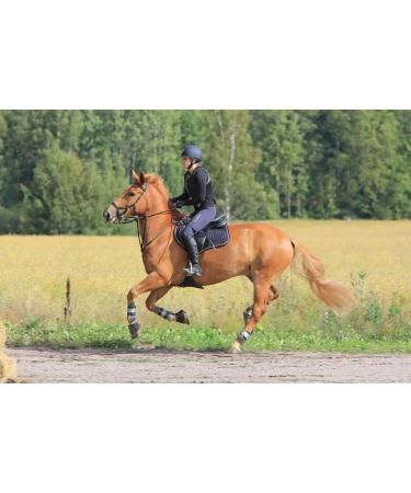 Premium Leather Riding Crop with Braided Handle | High Quality Equestrian Horse Crop - Buy Online on GoSupps.com