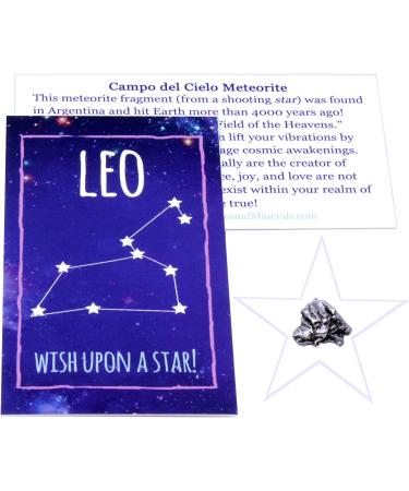 DANCING BEAR Leo Zodiac Healing Crystals Gift Set - 14 Pc with 18K Gold-Plated Constellation Necklace, Meteorite, Succulent Candle, Palo Santo Smudge Stick & Info Guide | Made in USA - Buy Online on GoSupps.com
