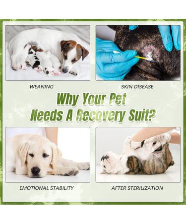 Kuoser Dogs Recovery Suit | Postoperative Wound Protection Shirt for Dogs | Soft Breathable Anti-Licking One-Piece for Belly Wounds | E-Collar Alternative | Green - Buy Online on GoSupps.com