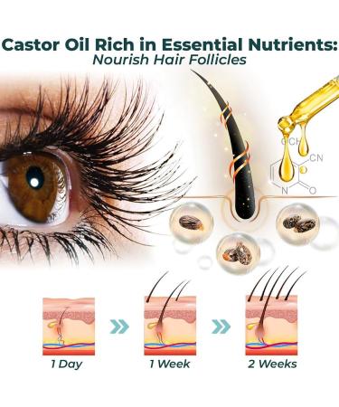  EXQST Gfouk Lash Elixir Rapid Eyelash Growth Strengthening Serum - Buy Online on GoSupps.com