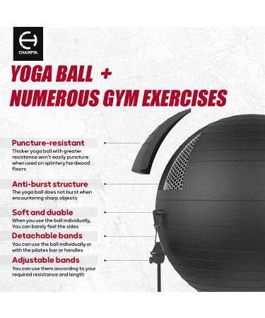 65cm Yoga Ball Chair for Pregnancy, Physical Therapy & Office - Stability Ball with Stainless Steel Pilates Bar - Black - Buy Online on GoSupps.com
