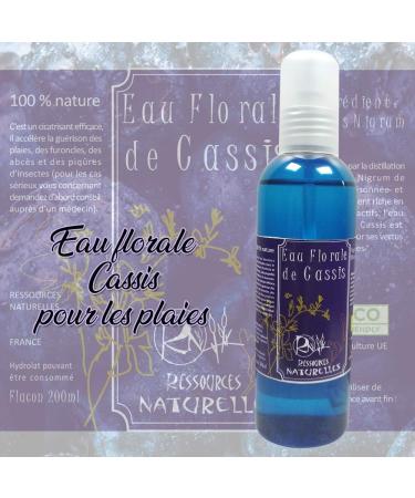 Ressources Naturelles Organic Cassis Hydrosol 200 ml - Buy Online on GoSupps.com