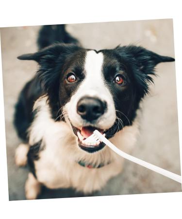 Angoily 2pcs Supplies Tools Cleaners Tooth Pets Teeth Manual Cat Portable Puppy Home Dog Care Soft-bristle 1 count (Pack of 1) White - Buy Online on GoSupps.com