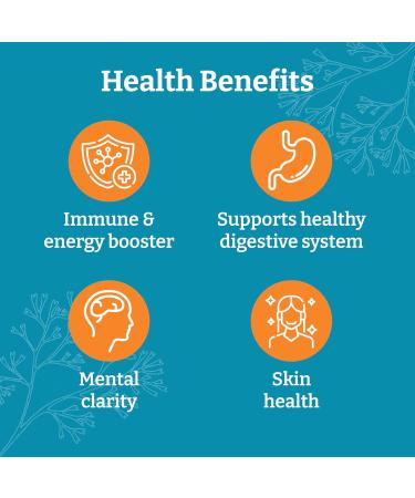 Yemay The Natural Way All-in-1 Multi Mineral Sea Moss Raw Organic Supplement with Organic Seamoss Black Seed Oil Ashwagandha Burdock Root Turmeric Vitamin C & More 60 Vegan Capsules - Buy Online on GoSupps.com