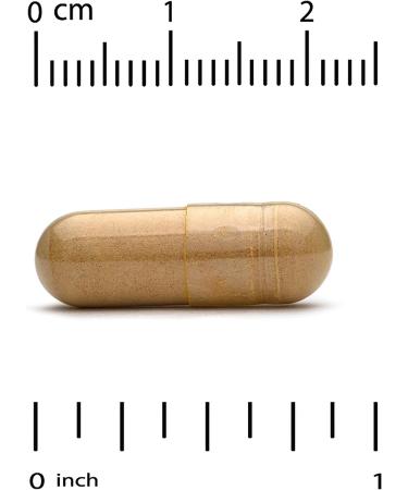 Silymarin Liver Health Complex - Milk Thistle, Curcumin, Artichoke, Dandelion & More - 360 Veg Capsules - Buy Online on GoSupps.com