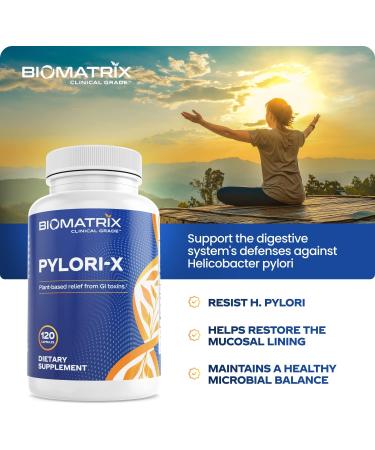 H. Pylori Defense Supplement | Pylori-X w/ Mastic Gum, Berberine, Zinc Carnosine | Digestive Relief & Microbiome Balance (120 Capsules) - Buy Online on GoSupps.com