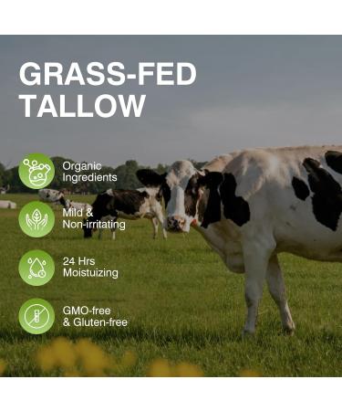 Organic Grass Fed Beef Tallow Balm for Skin & Face Moisturizer - All-Purpose Natural Lotion (2.5oz - Buy Online on GoSupps.com