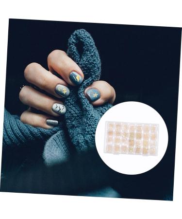 Mikinona 1 Box Nail Art Accessories Nail Glitter Manicure Decor Nail Rhinestones Gold Nail Decor Nail Charm Sticker Pearl Jewelry Gems Nail Star Earth Tones Nail Polish Rivet Sequins 3d - Buy Online on GoSupps.com