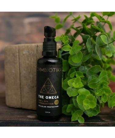 Cymbiotika DHA Omega 3 EPA & Astaxanthin 4mg Liquid Supplement - Supports Brain, Vision & Heart Health - Pregnancy Wellness - Vegan, Gluten Free, Keto - Lemon Flavor - Buy Online on GoSupps.com