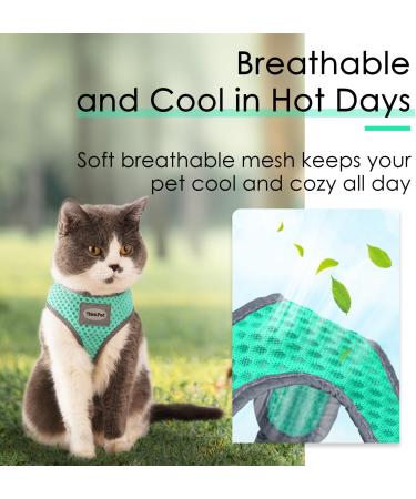 Thinkpet No-Pull Dog Harness & Leash Set | Breathable Adjustable Soft Harness for Small to Large Dogs - 2XS Green - Buy Online on GoSupps.com