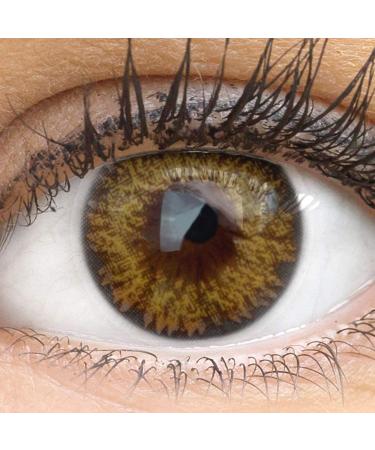 Glamlens Palermo Brown Contact Lenses | Natural Brown Color | Silicone Hydrogel | 1 Pair (2 pcs) | Dia 14.00 | Strong Coverage - Buy Online on GoSupps.com