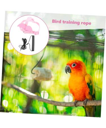 DOITOOL 4 Sets Bird Leash Suspend Bearded Dragon Harness Reptile Harness Bird Harness Outdoor Car Supplies 12X6X1.3CMx4pcs Pinkx4pcs - Buy Online on GoSupps.com