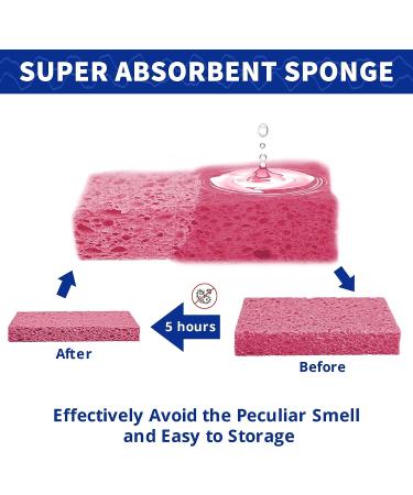 CELOX Large Eco-Friendly Cellulose Kitchen Sponges - 24 Pack Super Absorbent Cleaning Sponges for Dishes - DIY Kids Sponges in Pink-yellow (4.5 x 2.8 x 0.6) - Buy Online on GoSupps.com