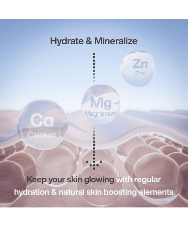 NanoMister by Pure Daily Care | 2-in-1 Portable Skin Hydrator & Beauty Primer | Nano Ionic Facial Mister for Acne & Wrinkle Reduction - Buy Online on GoSupps.com