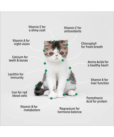 Organic Cat Grass Growing Kit for Natural Hairball Control - Made in USA - Buy Online on GoSupps.com