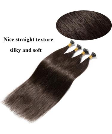 22" Pre Bonded Human Hair Extensions I Tip 0.5g*100 Strands #2 Dark Brown (50g) - Buy Online on GoSupps.com