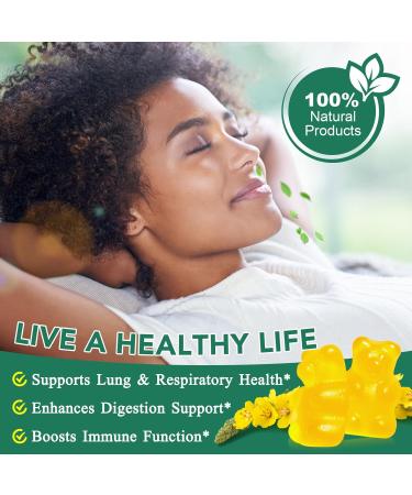 NIFEISHI Mullein Gummies for Lungs 2000mg Mullein Leaf Extract for Respiratory & Digestive & Immune Support Natural Herbal Supplement Pear Flavor Gummies 60 Gummies - Buy Online on GoSupps.com