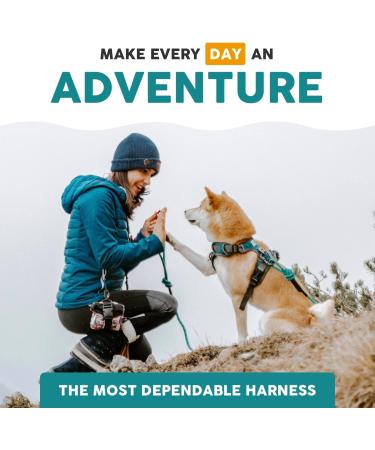 Embark Pets Adventure Dog Harness Medium - No Pull, Anti-Pull, Adjustable, Orange - Chest 60-77 cm - Buy Online on GoSupps.com