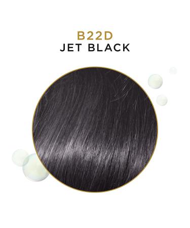 Clairol Professional Beautiful Collection 22d Jet Black Semi-Permanent Hair Color - Gray Coverage - Buy Online on GoSupps.com