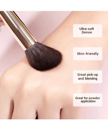 Jessup 20pcs Zinfandel T281 Makeup Brush Set - Professional Soft Natural Bristle for Foundation, Eyeshadow, Blush, and Concealer - Buy Online on GoSupps.com