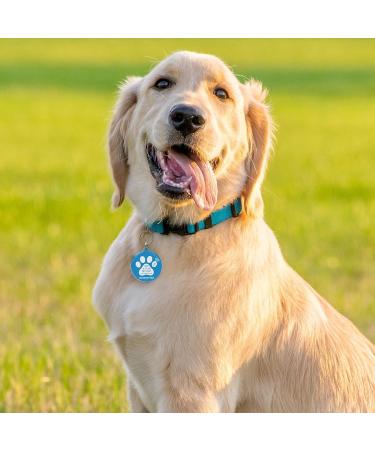 MyLuckyTag NFC & QR Code Smart Pet ID Tag | Personalized Dog/Cat Tag | Online Profile | Pet Location Alert | Engraved Paw Tag - Buy Online on GoSupps.com