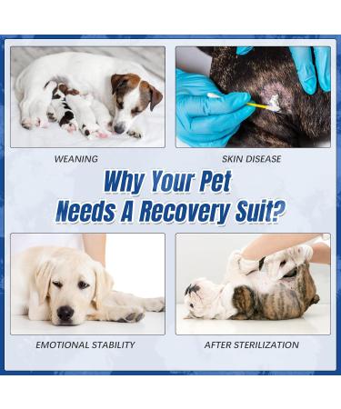 Kuoser Dog Recovery Suit - Postoperative Wound Protection Shirt for Dogs | Soft Breathable & Anti-Lick E-Collar Alternative - XS Blue - Buy Online on GoSupps.com