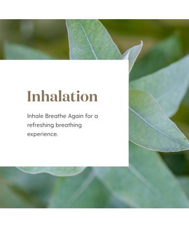 Breathe Again Essential Oil Roll On by Young Living - 10ml for Easy Relief with Copaiba Myrtle & Peppermint - Premium Eucalyptus Blend - Buy Online on GoSupps.com