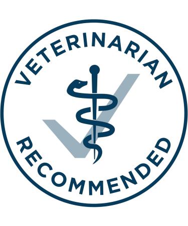 Purina ONE +Plus Dry Dog Food Skin & Coat with Salmon - 1.6 kg Bag 1.6 kg (Pack of 1) - Buy Online on GoSupps.com