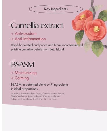 SKINCURE Camellia Flower Cream Mask - Antioxidant Hydrating Treatment Anti-Aging Wash-Off Facial Mask for Dry Skin Illuminates & Refreshes - 2.3 fl. oz - Buy Online on GoSupps.com