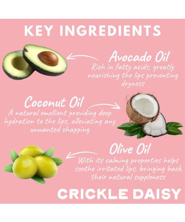 Crickle Daisy Lip Treat Balm - Hydrating & Nourishing Lip Balm with Avocado Olive and Coconut Oils - Softening Lip Moisturizer & Protection for Very Dry Lips - Sugar Blossom Scented 0.7oz - Buy Online on GoSupps.com