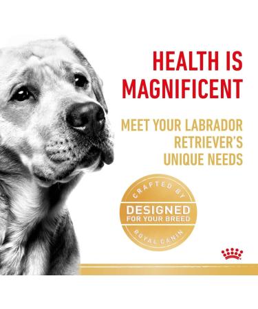 Royal Canin Labrador Retriever Adult in Gravy Wet Dog Food 140g (Pack of 40) - Buy Online on GoSupps.com