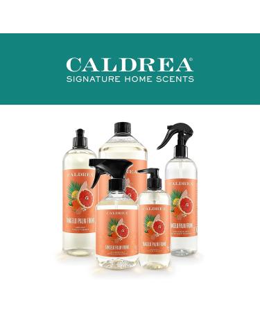 Caldrea Hand Wash Soap 10.8 oz - Aloe Vera, Olive Oil, Essential Oils - Tangelo Palm Frond Scent - Buy Online on GoSupps.com