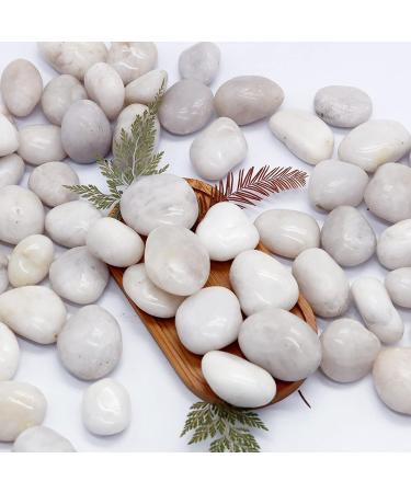 LONTOM 2.2lb White Pebbles Natural Decorative Stone Polished Gravel River Rocks for Plants Home DIY Decor Aquarium Gravel Vase Fillers Fairy Garden Landscaping Outdoor Stones - Buy Online on GoSupps.com