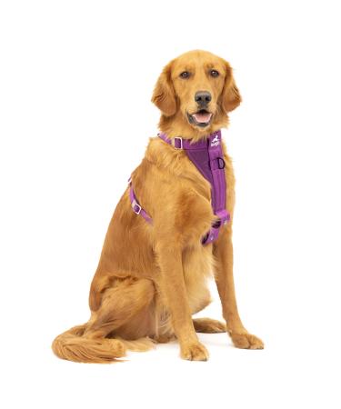 Kurgo Tru-Fit Dog Harness Crash Tested Car Seat Belt For Dogs 2 to 5 kg Size XL Purple Purple XL